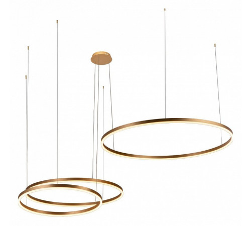 Подвесной светодиодный светильник Loft IT Ring 10017/3L