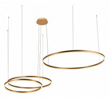 Подвесной светодиодный светильник Loft IT Ring 10017/3M