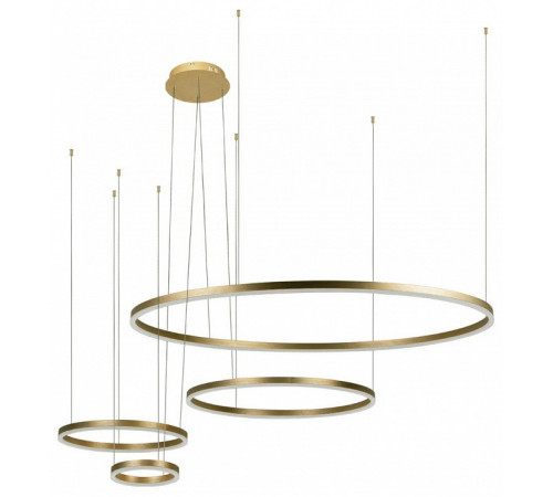 Подвесной светильник Loft IT Ring 10017/4M