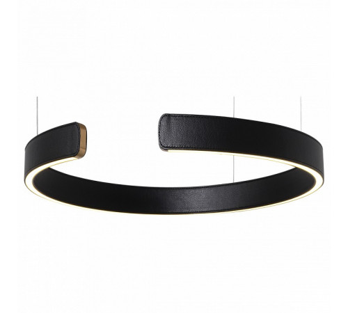 Подвесной светодиодный светильник Loft IT Ring 10025/400 Black