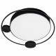 Потолочный светильник Loft IT Mike 10062