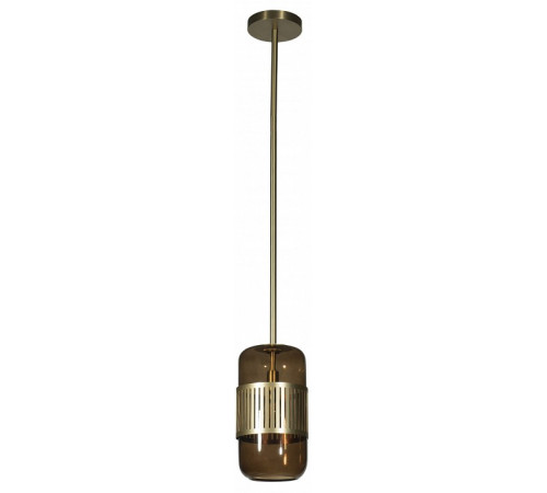 Подвесной светильник Loft IT Hudson 10098P
