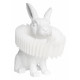Настольная лампа Loft IT Bunny 10117/C