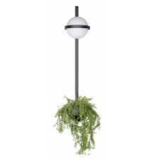 Настенный светильник Loft IT Jardin 10121W/B