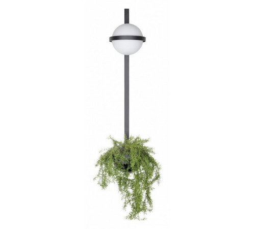 Настенный светильник Loft IT Jardin 10121W/B