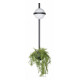 Настенный светильник Loft IT Jardin 10121W/B