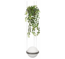 Подвесной светильник Loft IT Jardin 10121/1P Dark grey