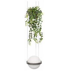 Подвесной светильник Loft IT Jardin 10121/1P Dark grey