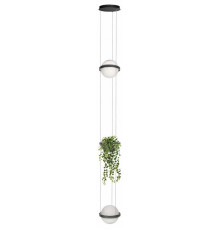 Подвесной светильник Loft IT Jardin 10121/2P Dark grey