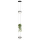 Подвесной светильник Loft IT Jardin 10121/2P Dark grey