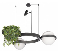 Подвесная люстра Loft IT Jardin 10121/2 Dark grey
