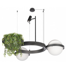 Подвесная люстра Loft IT Jardin 10121/2 Dark grey