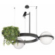 Подвесная люстра Loft IT Jardin 10121/2 Dark grey