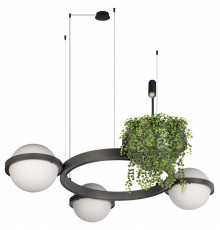 Подвесная люстра Loft IT Jardin 10121/3 Dark grey