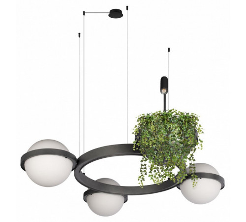 Подвесная люстра Loft IT Jardin 10121/3 Dark grey