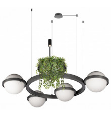 Подвесная люстра Loft IT Jardin 10121/4 Dark grey
