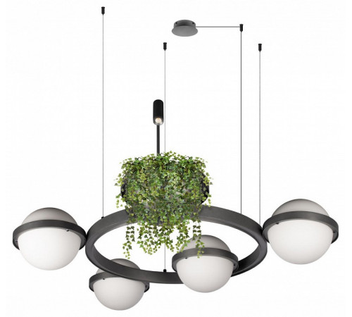 Подвесная люстра Loft IT Jardin 10121/4 Dark grey Подвесная люстра Loft IT Jardin 10121/4 Dark grey