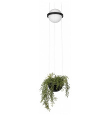 Подвесной светильник Loft IT Jardin 10121/B