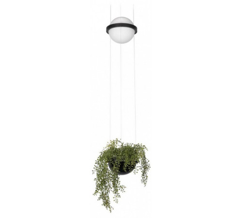 Подвесной светильник Loft IT Jardin 10121/B Подвесной светильник Loft IT Jardin 10121/B