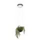 Подвесной светильник Loft IT Jardin 10121/B