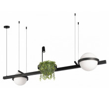 Подвесной светильник Loft IT Jardin 10121/D