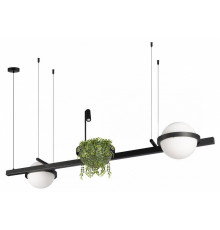 Подвесной светильник Loft IT Jardin 10121/D