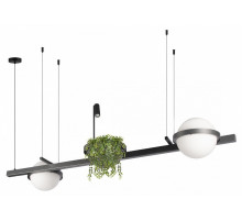 Подвесная люстра Loft IT Jardin 10121/D Dark grey
