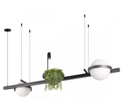Подвесная люстра Loft IT Jardin 10121/D Dark grey Подвесная люстра Loft IT Jardin 10121/D Dark grey