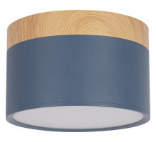 Накладной светильник Loft IT Grape 10162 Blue