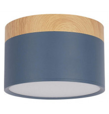 Накладной светильник Loft IT Grape 10162 Blue