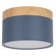 Накладной светильник Loft IT Grape 10162 Blue