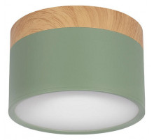 Накладной светильник Loft IT Grape 10162 Green