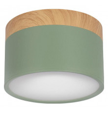 Накладной светильник Loft IT Grape 10162 Green