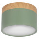 Накладной светильник Loft IT Grape 10162 Green