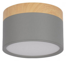 Накладной светильник Loft IT Grape 10162 Grey