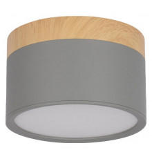 Накладной светильник Loft IT Grape 10162 Grey