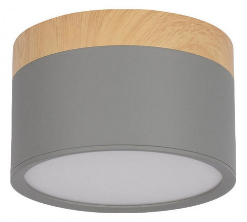 Накладной светильник Loft IT Grape 10162 Grey