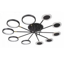 Потолочный светильник Loft IT Megan 10164M Black