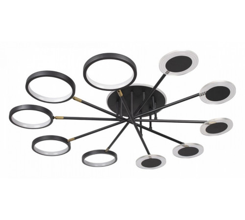 Потолочный светильник Loft IT Megan 10164M Black