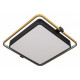 Потолочный светильник Loft IT Mike 10172