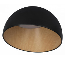 Потолочный светильник Loft IT Egg 10197/350 Black