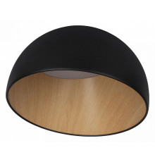 Потолочный светильник Loft IT Egg 10197/350 Black