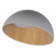Потолочный светильник Loft IT Egg 10197/500 Grey