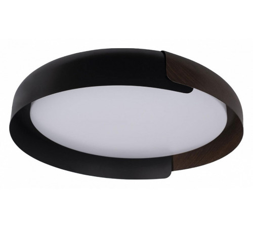 Потолочный светильник Loft IT Coin 10198 Black Потолочный светильник Loft IT Coin 10198 Black