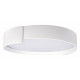 Потолочный светильник Loft IT Coin 10200 White