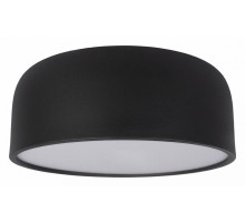 Потолочный светильник Loft IT Axel 10201/350 Black