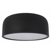 Потолочный светильник Loft IT Axel 10201/350 Black