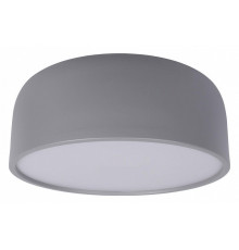 Потолочный светильник Loft IT Axel 10201/350 Grey
