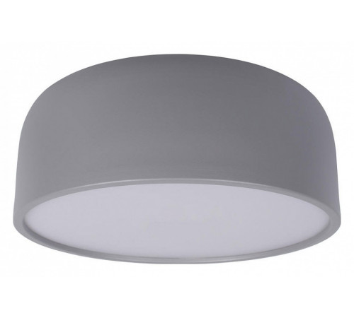 Потолочный светильник Loft IT Axel 10201/350 Grey