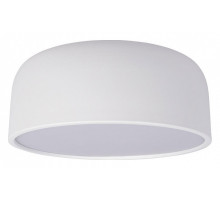 Потолочный светильник Loft IT Axel 10201/350 White
